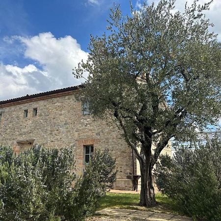 蒙托内Borgo Cardaneto住宿加早餐旅馆 外观 照片