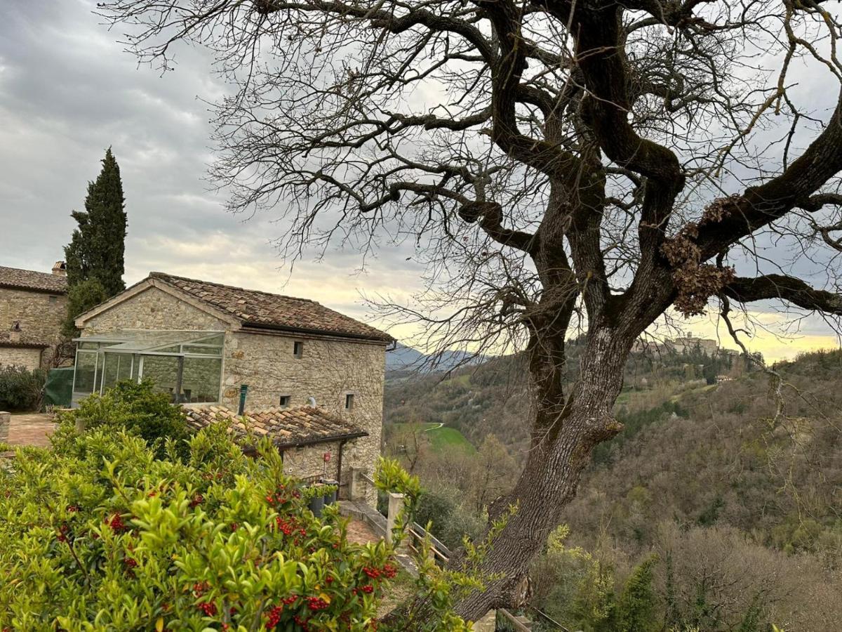 蒙托内Borgo Cardaneto住宿加早餐旅馆 外观 照片