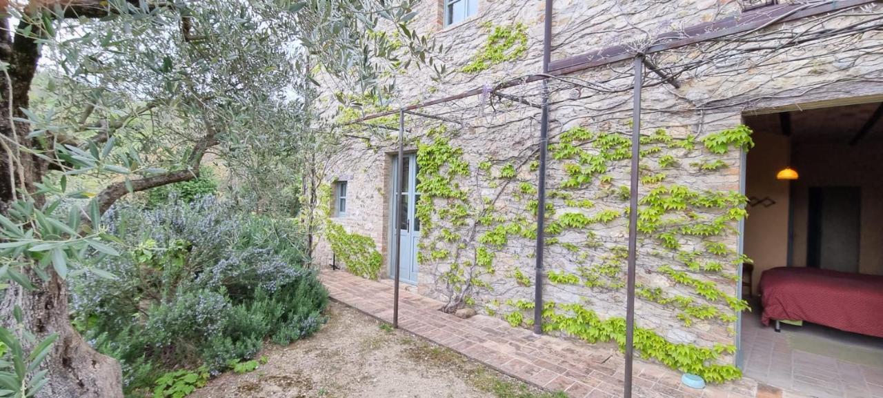 蒙托内Borgo Cardaneto住宿加早餐旅馆 外观 照片