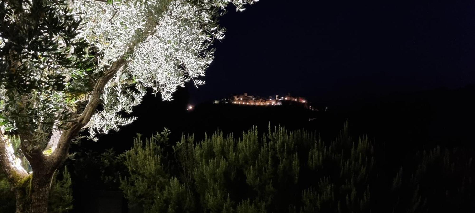 蒙托内Borgo Cardaneto住宿加早餐旅馆 外观 照片