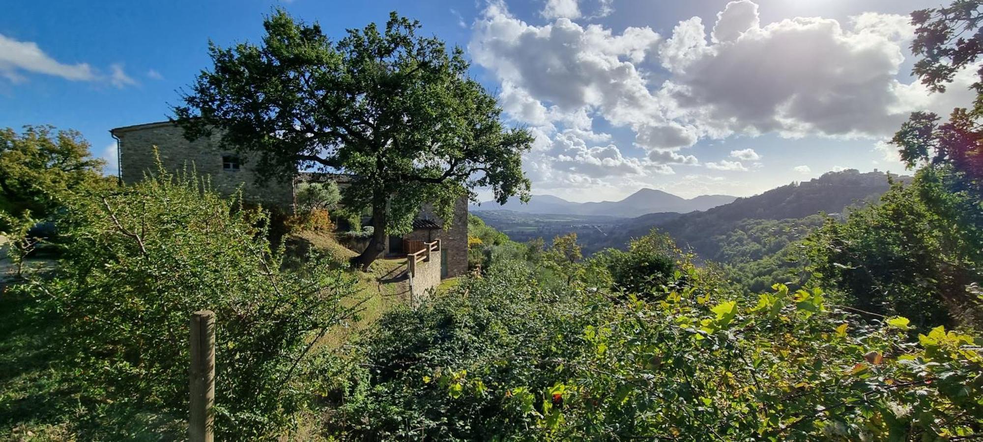 蒙托内Borgo Cardaneto住宿加早餐旅馆 外观 照片