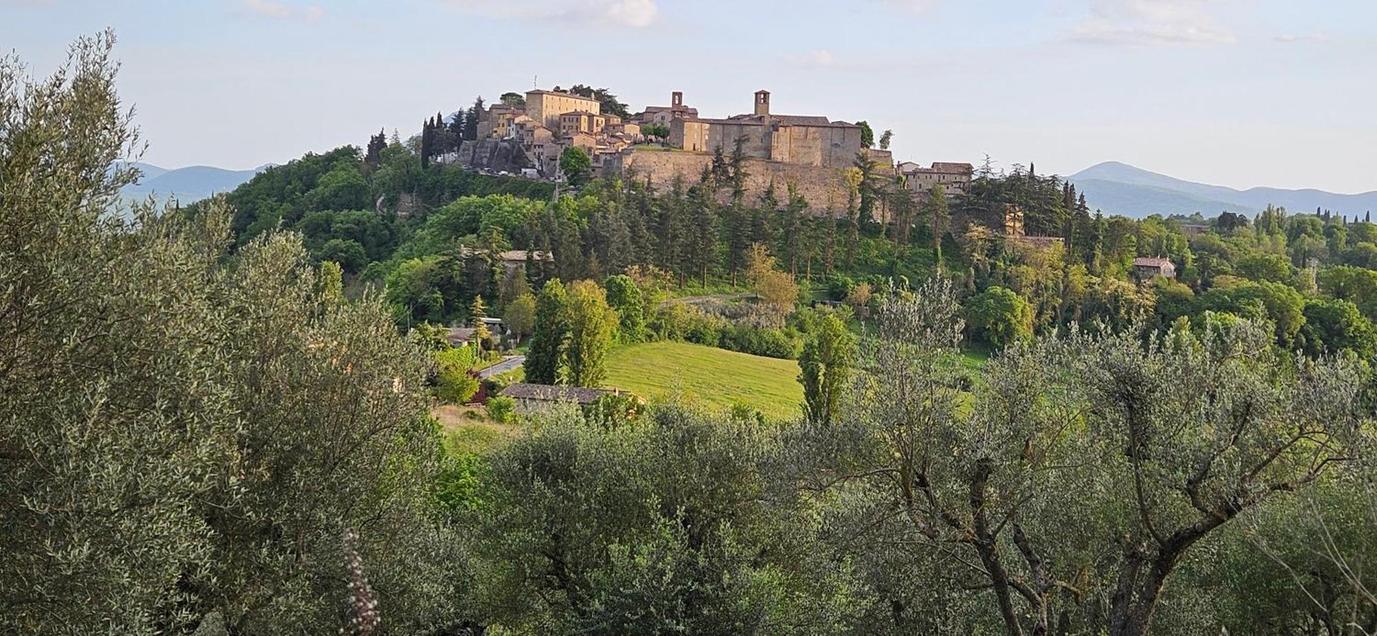 蒙托内Borgo Cardaneto住宿加早餐旅馆 外观 照片